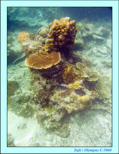 2008 - 07 - Perhentian - 017